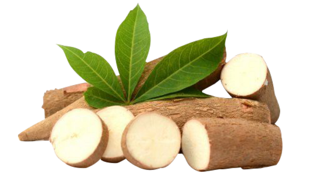 cassava-leaf